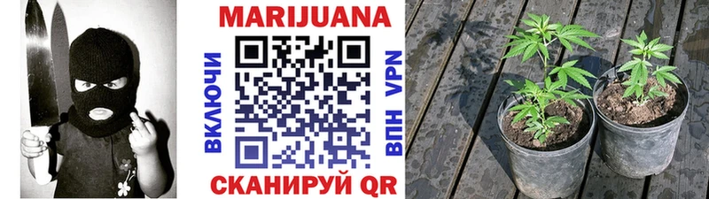 Марихуана SATIVA & INDICA Кушва